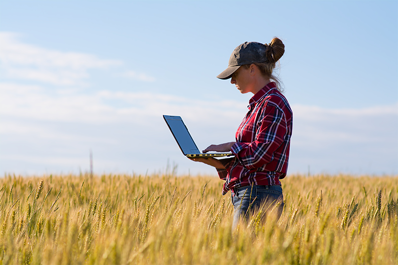 Agriculture_AdobeStock_214125045_800